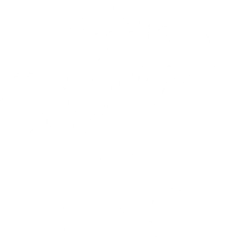 bear-hugs-video-logo-white